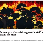 Sequías e incendios forestales
